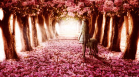 Flower Path6729511815 272x150 - Flower Path - path, flower, Dreams